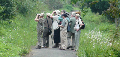 Wildlife tour